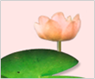 ׽Ʈ 